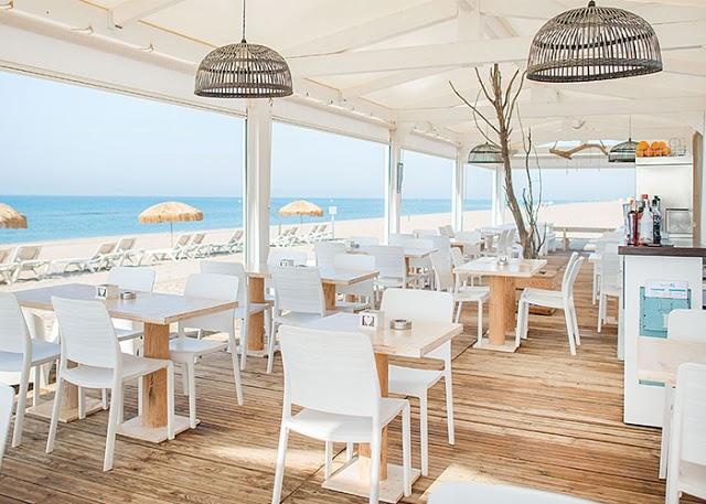 Guingueta Iguana Gava Mar